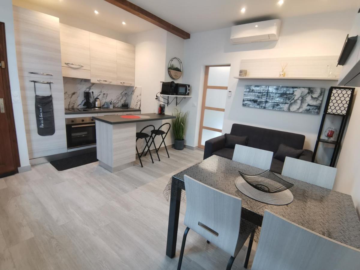 Coquet 2 Pieces Entierement Renove Et Climatise Appartement